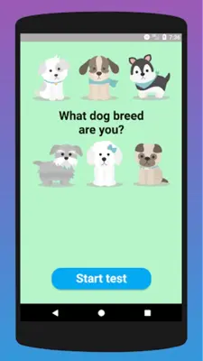 What dog breed are you? Test android App screenshot 2